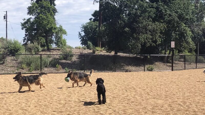 Barnum Dog Park - Denver, CO