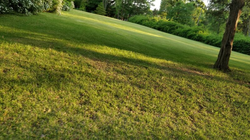 Cynthia's Landing - Denville, NJ