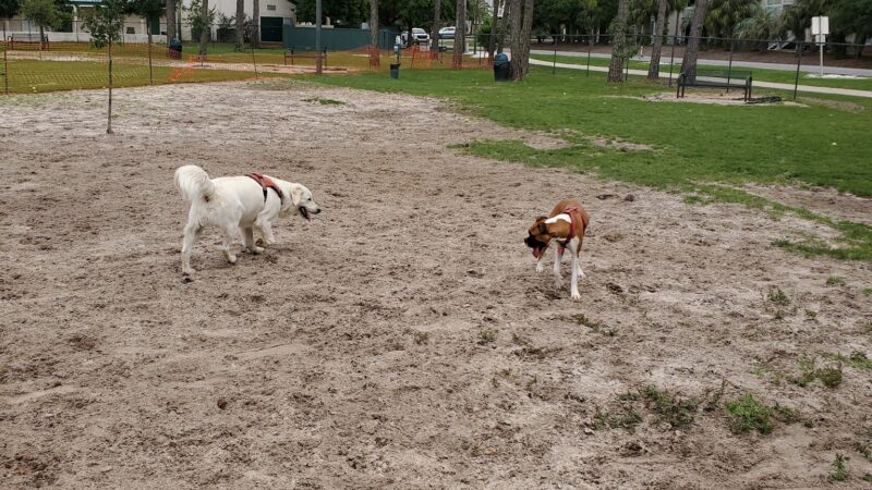 Destin Dog Park - Destin, FL