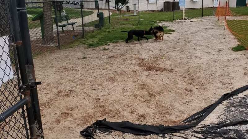 Destin Dog Park - Destin, FL