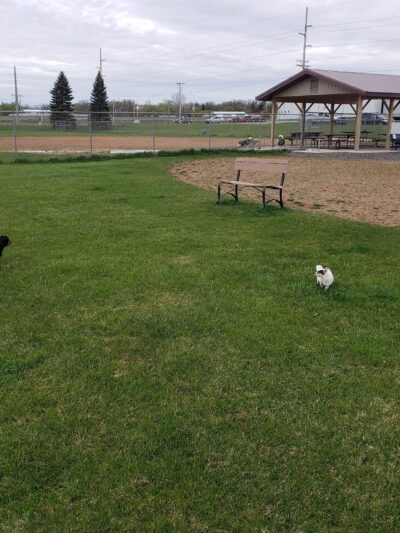 Detroit Lakes Dog Park - Detroit Lakes, MN