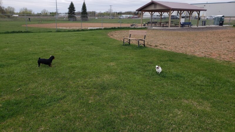 Detroit Lakes Dog Park - Detroit Lakes, MN