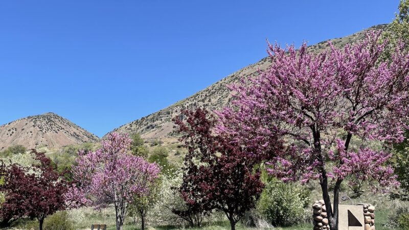 Deweyville Park - Deweyville, UT