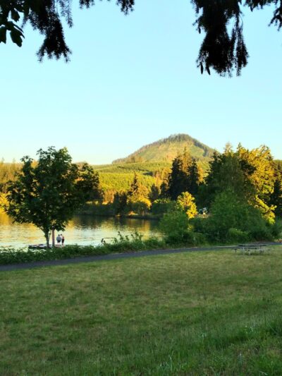 Dexter Park Disc Golf Course - Dexter, OR