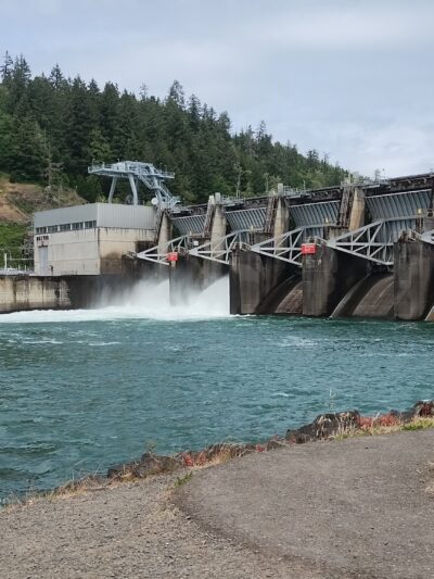 Dexter State Recreation Site - Dexter, OR