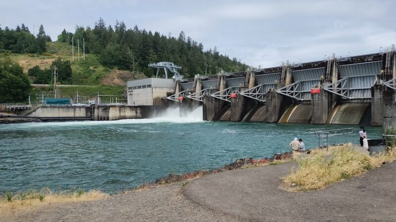 Dexter State Recreation Site - Dexter, OR