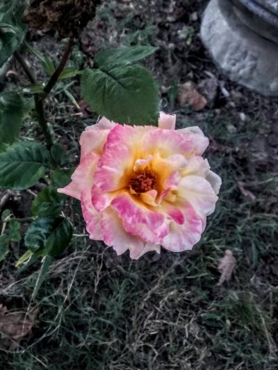 Dieckhoff City Park - Diamond, MO