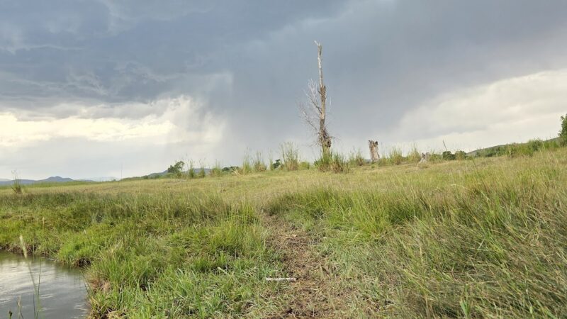 Cornell Park - Dillon, MT
