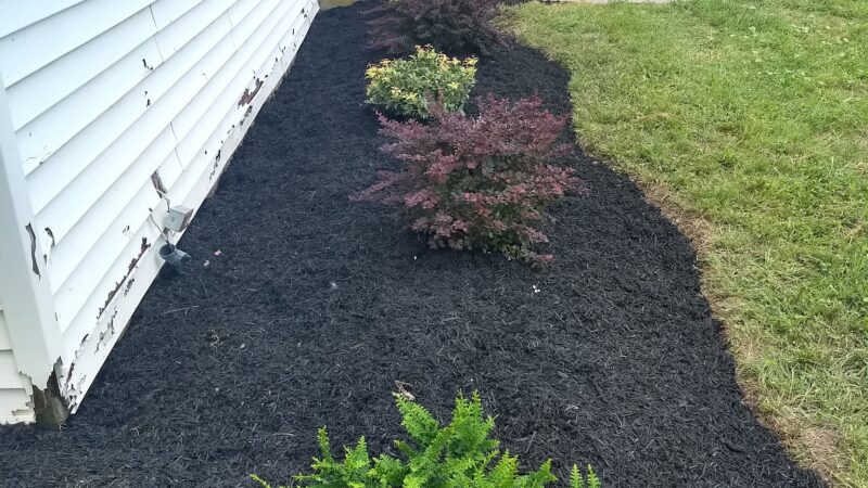 Coover Park - Dillsburg, PA