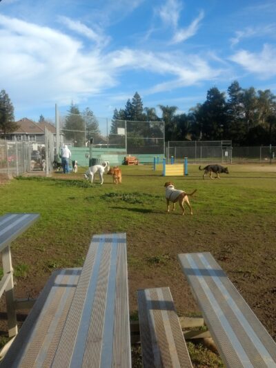 Hall Park Off Leash Dog Park - Dixon, CA