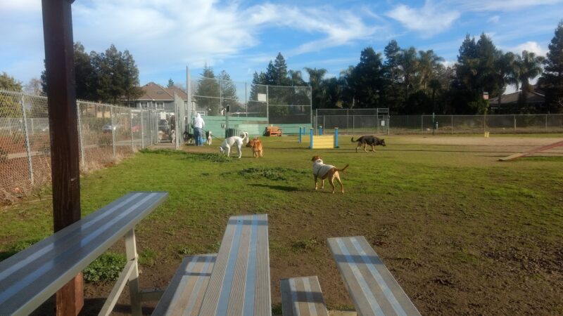 Hall Park Off Leash Dog Park - Dixon, CA