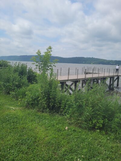 Playground - Dobbs Ferry, NY