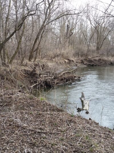 Creek Park - Dodge Center, MN