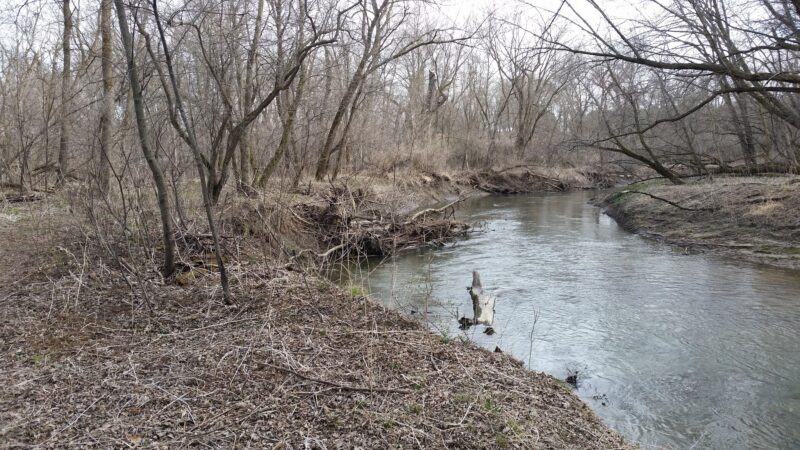 Creek Park - Dodge Center, MN
