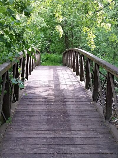 Creek Park - Dodge Center, MN