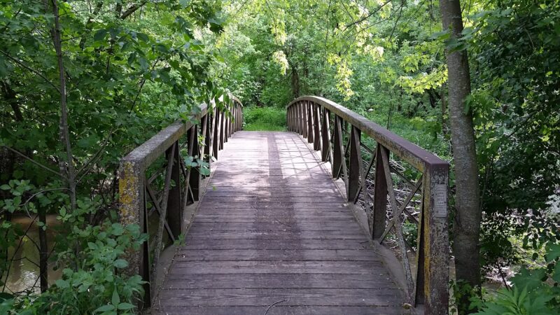 Creek Park - Dodge Center, MN