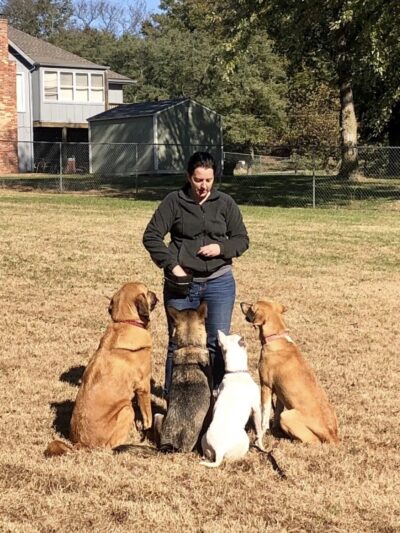 DoggSense Behavior & Training Co. - ,