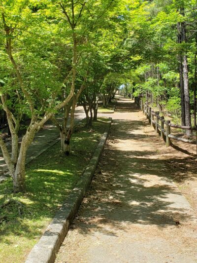 Dora Walking Track - Dora, AL
