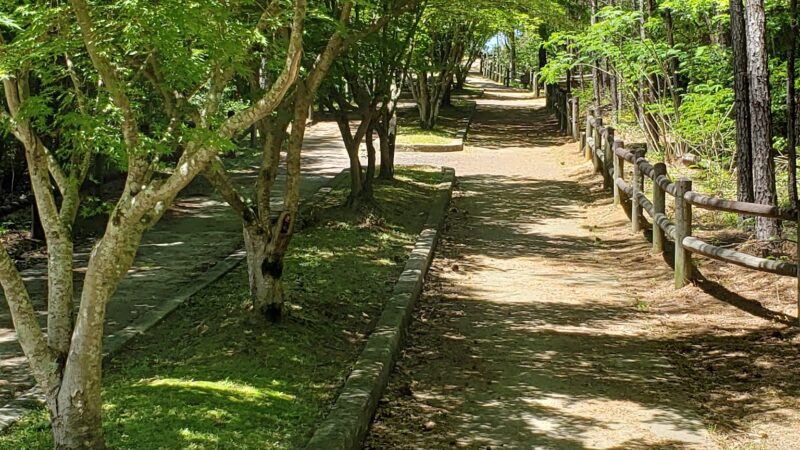 Dora Walking Track - Dora, AL
