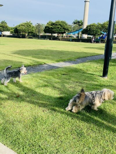 Trails & Tails Park - Doral, FL