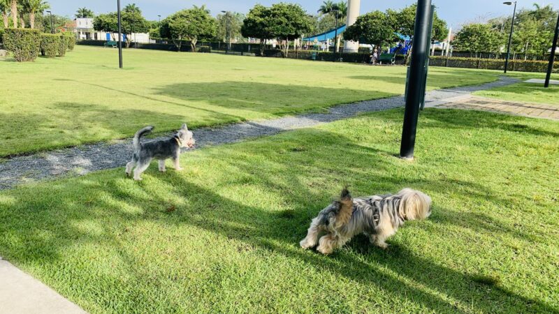 Trails & Tails Park - Doral, FL