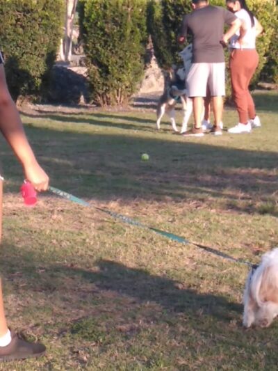 Trails & Tails Park - Doral, FL