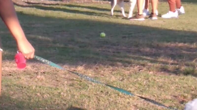 Trails & Tails Park - Doral, FL