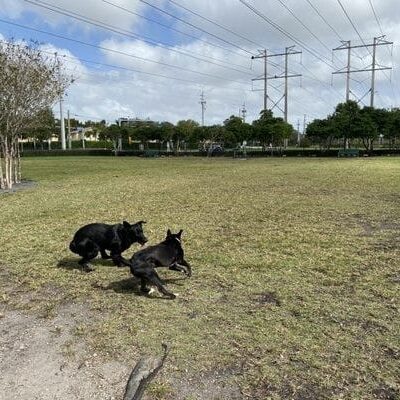 Trails & Tails Park - Doral, FL