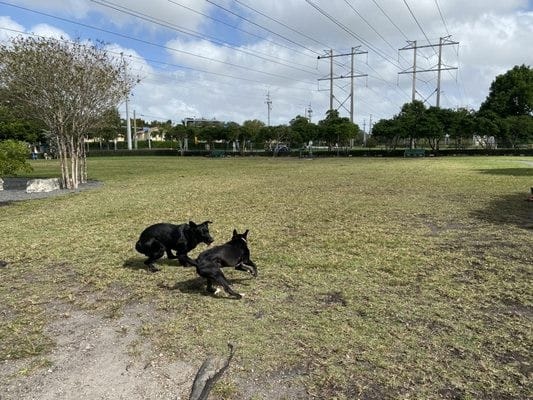 Trails & Tails Park - Doral, FL
