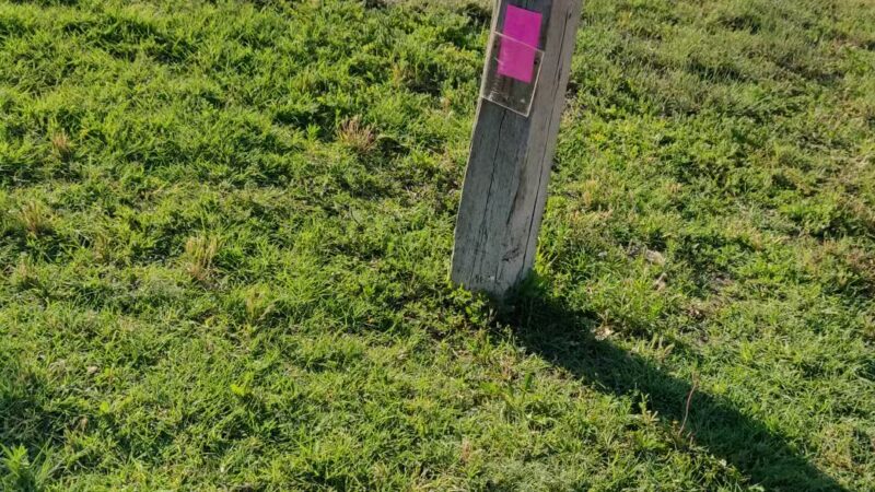 Campsite F13, Minooka Recreation Area - Dorrance, KS