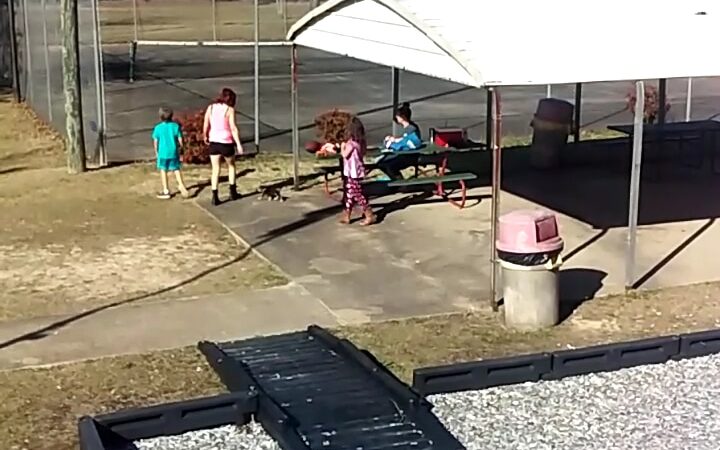 Double Springs Park & Rec - Double Springs, AL
