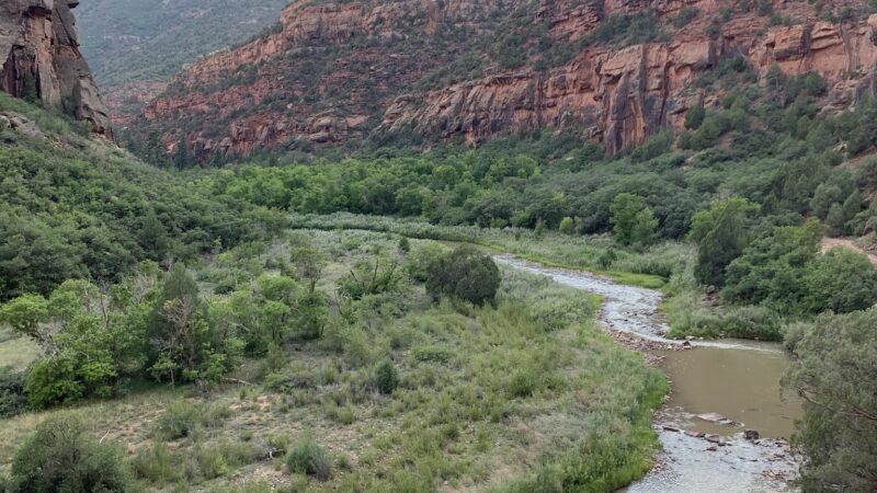 Dove Creek Camp Spot - Dove Creek, CO