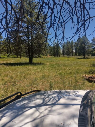 Dove Creek Camp Spot - Dove Creek, CO