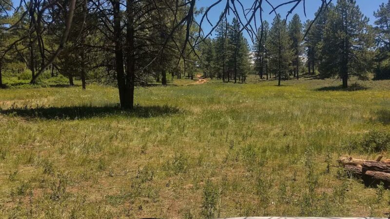 Dove Creek Camp Spot - Dove Creek, CO