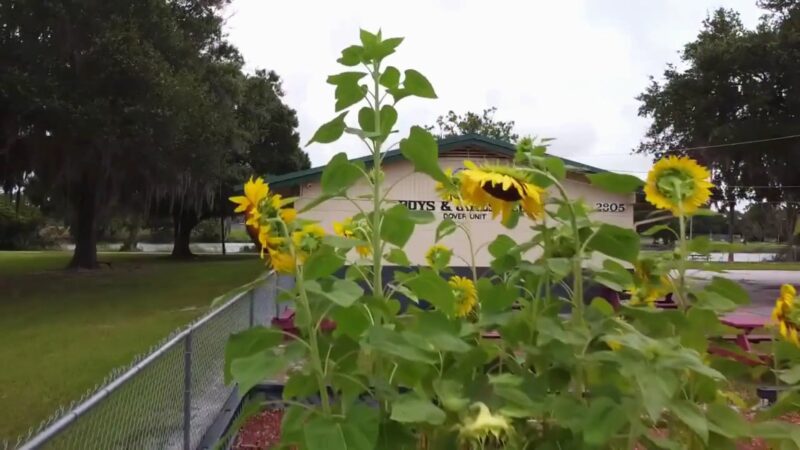 Dover District Park - Dover, FL