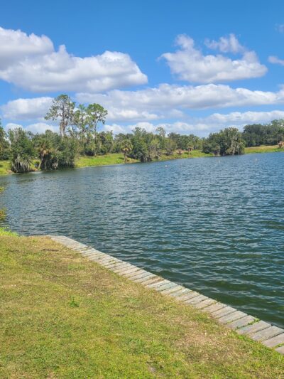 Dover District Park - Dover, FL