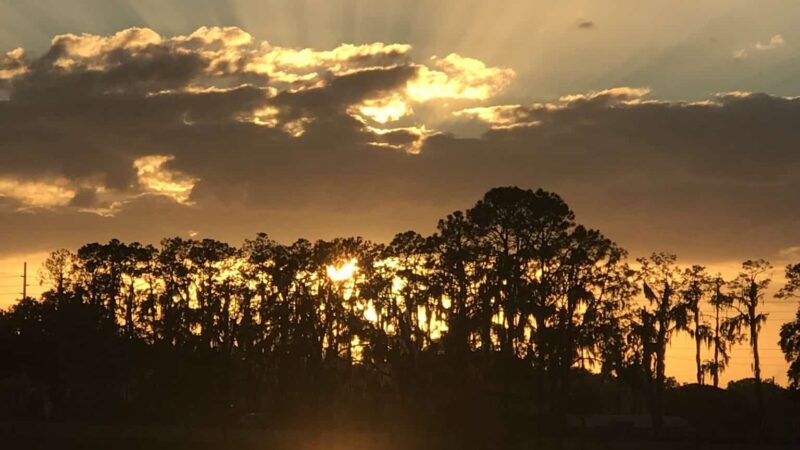 Dover District Park - Dover, FL