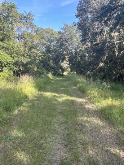 Dover Horse Trails - Dover, FL