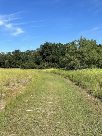 Dover Horse Trails - Dover, FL