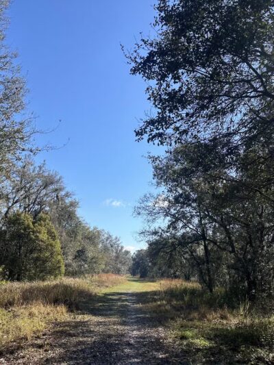 SYDNEY DOVER TRAILS - Dover, FL