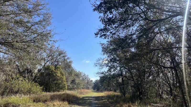 SYDNEY DOVER TRAILS - Dover, FL