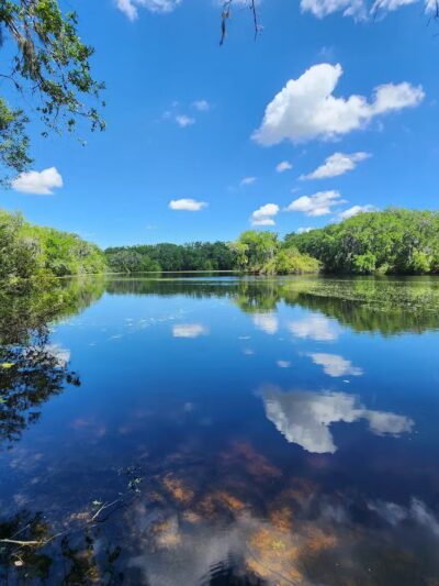 SYDNEY DOVER TRAILS - Dover, FL