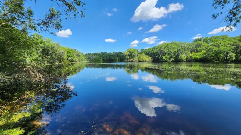SYDNEY DOVER TRAILS - Dover, FL