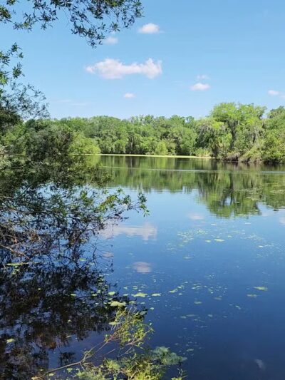 SYDNEY DOVER TRAILS - Dover, FL