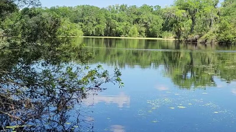 SYDNEY DOVER TRAILS - Dover, FL