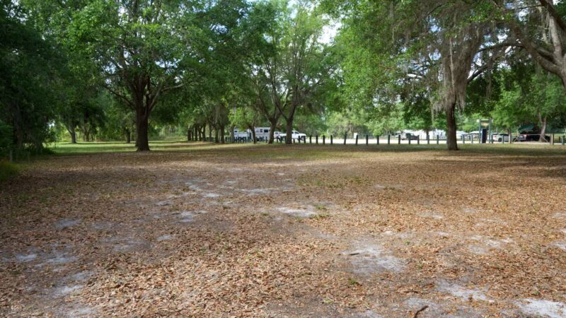 SYDNEY DOVER TRAILS - Dover, FL