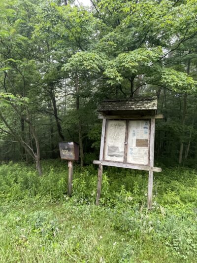 Cat Hollow Trail Head Parking - Downsville, NY