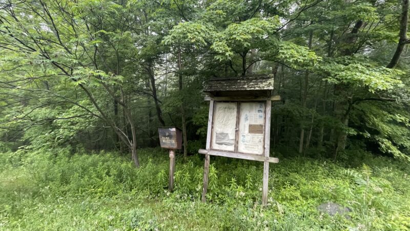 Cat Hollow Trail Head Parking - Downsville, NY