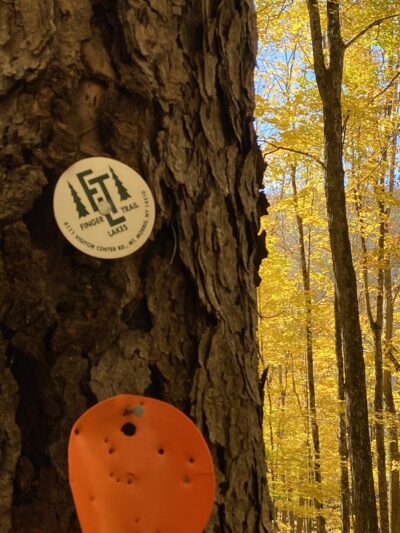 Cat Hollow Trail Head Parking - Downsville, NY