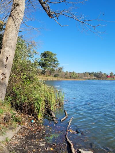 Dryden Lake Multiple Use Area - Dryden, NY